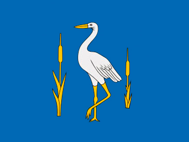 Флаг Романовского района Флаг Романовского района.